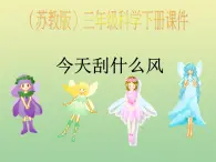 苏教版小学科学三年级下册《4.4.今天刮什么风》PPT课件