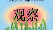 小学科学1.观察说课课件ppt