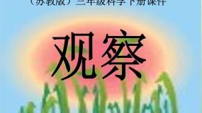 小学科学1.观察说课课件ppt