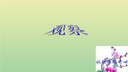 2020-2021学年1.观察教课课件ppt