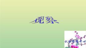 2020-2021学年1.观察教课课件ppt