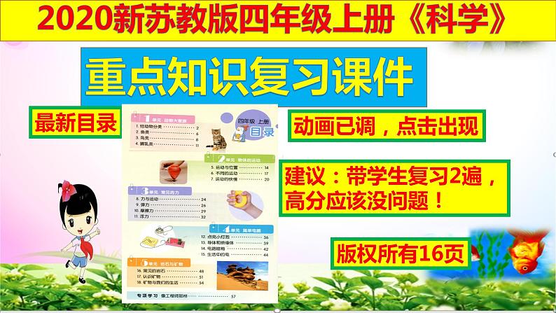 新版苏教版科学四年级上册3鸟类知识点复习PPT课件(动画已调)01