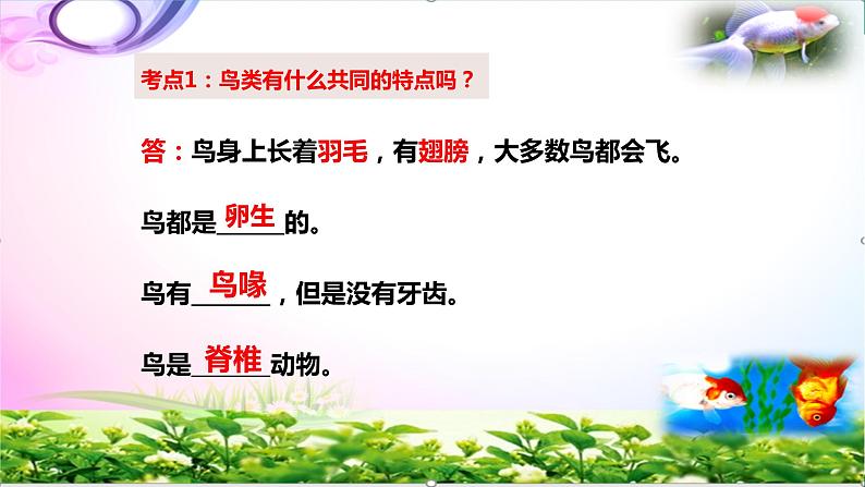 新版苏教版科学四年级上册3鸟类知识点复习PPT课件(动画已调)03