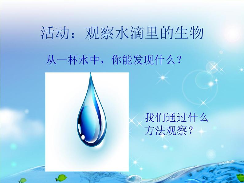 1.1 水滴里的生物(1)(课件)科学六年级上册-苏教版第3页