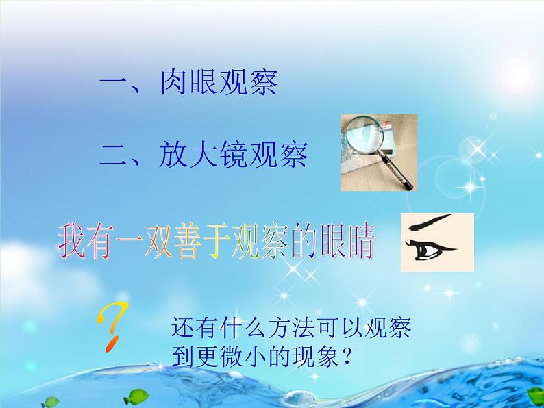 1.1 水滴里的生物(1)(课件)科学六年级上册-苏教版第4页