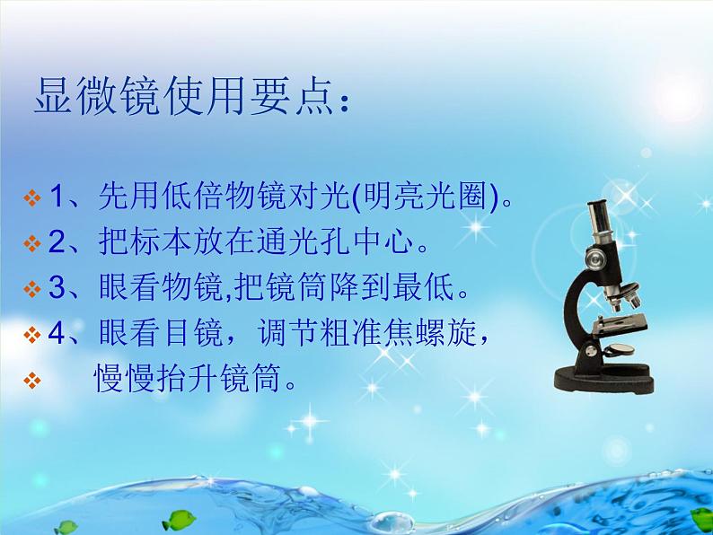 1.1 水滴里的生物(1)(课件)科学六年级上册-苏教版第8页