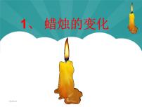 小学科学苏教版六年级上册1.蜡烛的变化教课内容课件ppt