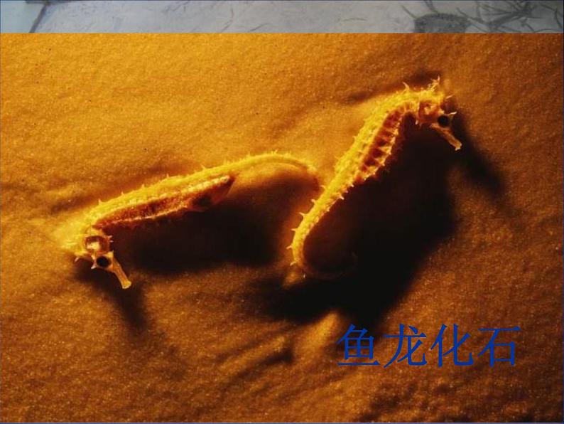2.5 地表的变迁(4)(课件)科学六年级上册-苏教版05