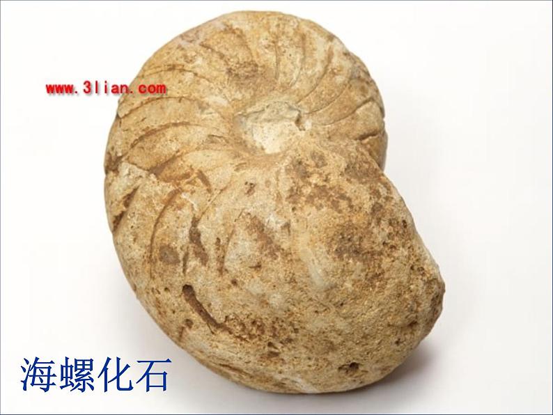 2.5 地表的变迁(4)(课件)科学六年级上册-苏教版06