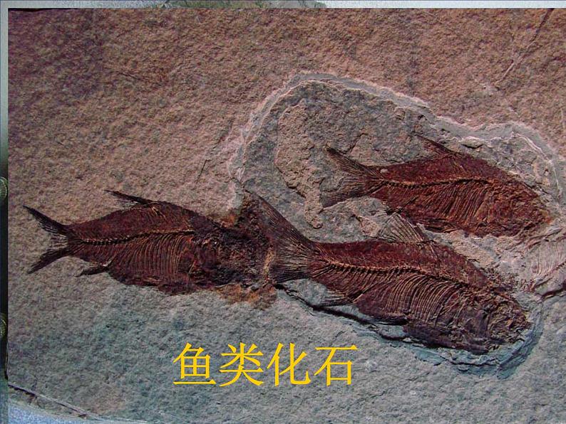 2.5 地表的变迁(4)(课件)科学六年级上册-苏教版07