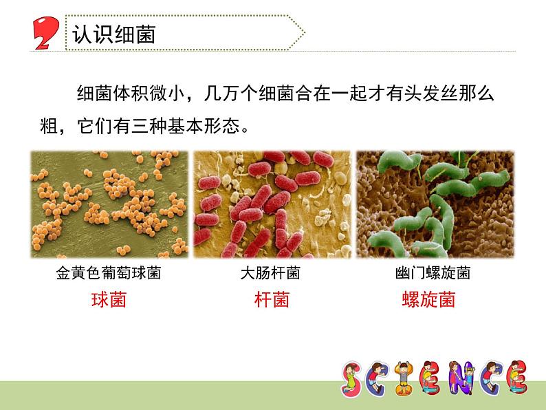 1.2 做酸奶(6)(课件)科学六年级上册-苏教版02