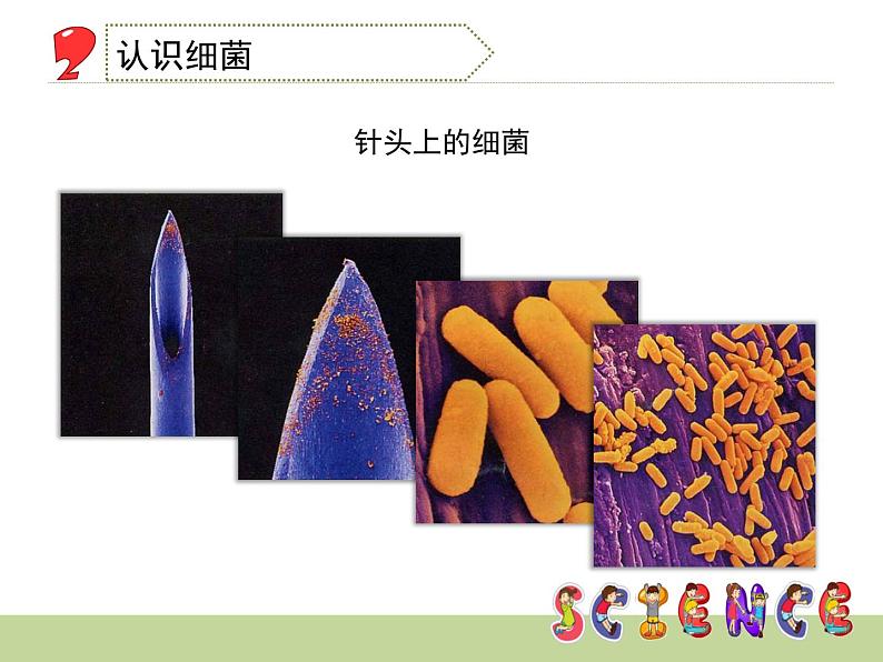 1.2 做酸奶(6)(课件)科学六年级上册-苏教版04