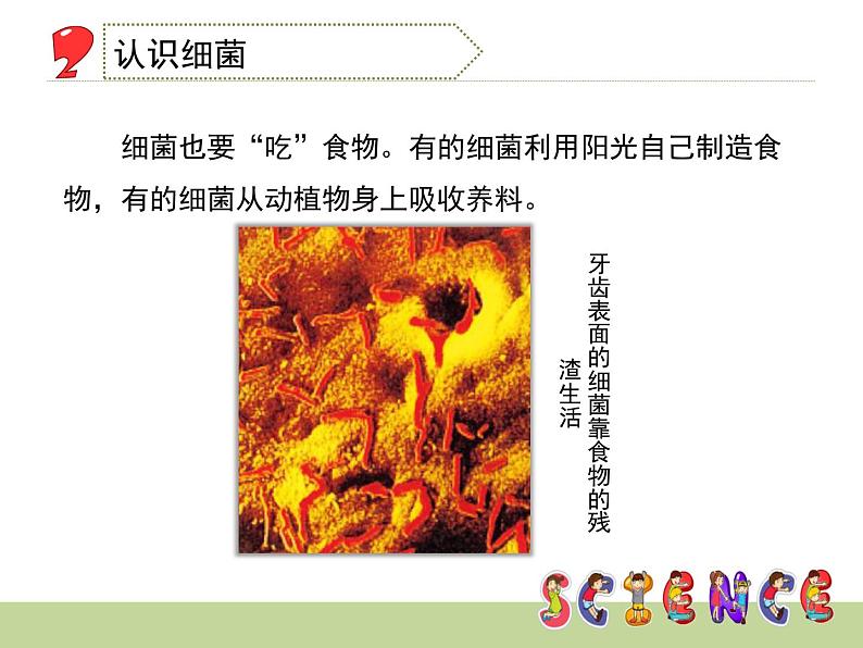 1.2 做酸奶(6)(课件)科学六年级上册-苏教版05
