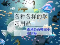 《7.各种各校的学习用品》课件