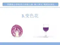 3.3.变色花课件PPT