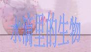 小学科学苏教版六年级上册1.水滴里的生物多媒体教学ppt课件