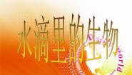 科学六年级上册1.水滴里的生物集体备课ppt课件