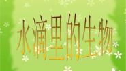 苏教版六年级上册1.水滴里的生物教学演示ppt课件