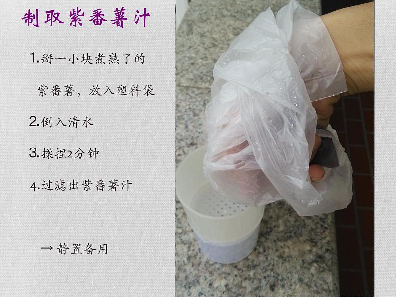 3.3 变色花(7)(课件)科学六年级上册-苏教版第6页