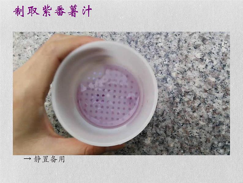 3.3 变色花(7)(课件)科学六年级上册-苏教版第7页