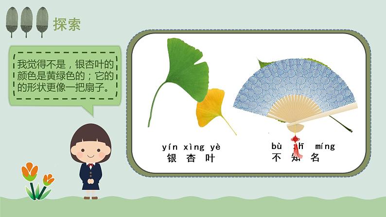教科版科学一年级上册 1.3观察叶 课件08