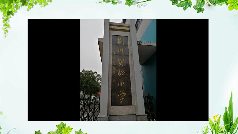 教科版科学一年级上册 观察叶课件01