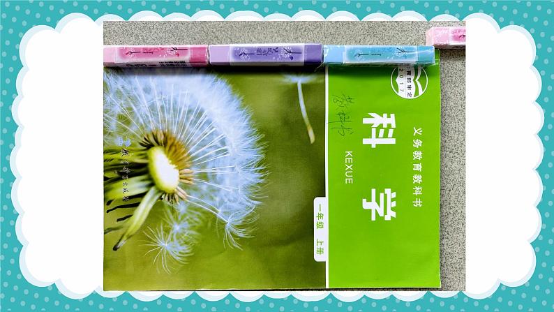 教科版科学一年级上册 2.5用相同的物体来测量 课件第8页