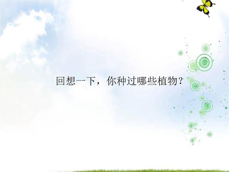 青岛版(五四制)科学二年级上册9.种大蒜教学课件02