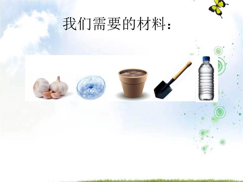 青岛版(五四制)科学二年级上册9.种大蒜教学课件03