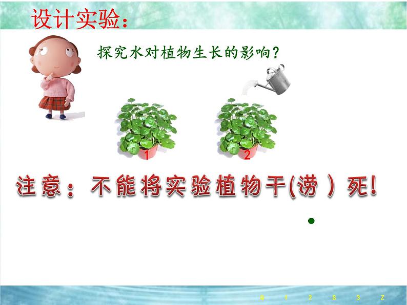 青岛版(五四制)科学二年级上册11.植物和水教学课件05
