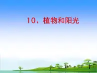 青岛版（五四制）科学二年级上册10.植物和阳光教学课件