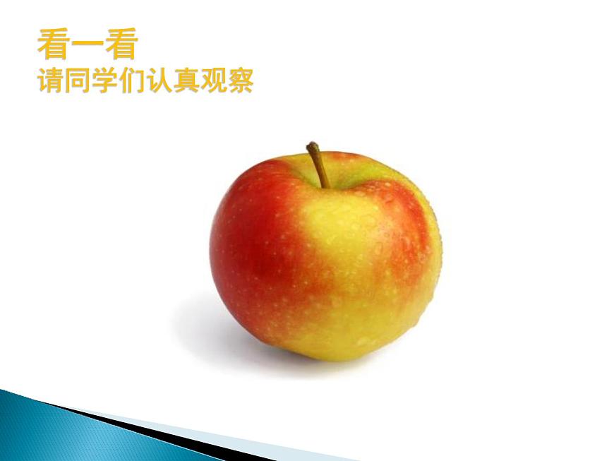 青島版(五四制)科學二年級上冊10.植物和陽光教學課件第2頁