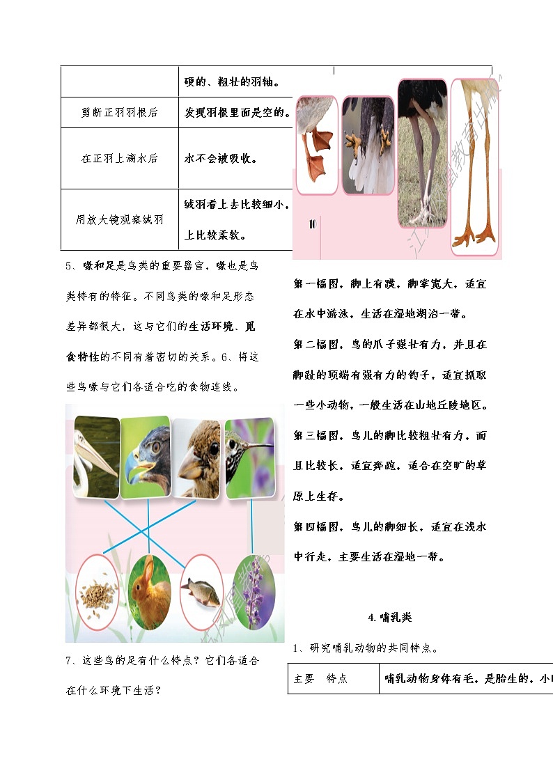2021年新苏教版四年级上册科学全册知识点整理含答案练习题第3页