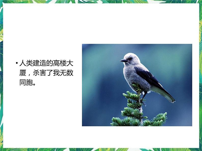 1.3 《听证会》课件第5页