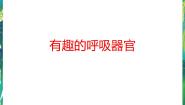 2021学年第二单元 我们怎样呼吸2 有趣的呼吸器官教案配套ppt课件