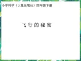 7.2《它们怎样飞行》 课件+练习