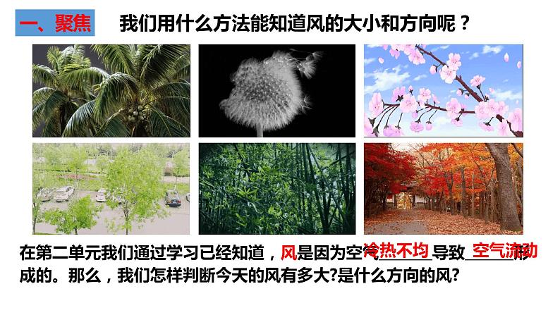 观测风PPT课件免费下载02