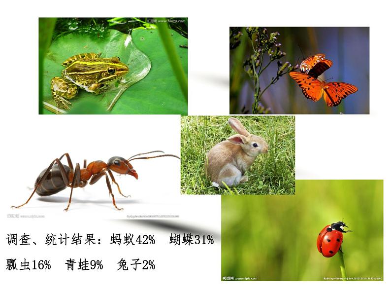 1.2《假如我们是》课件+教案+练习01