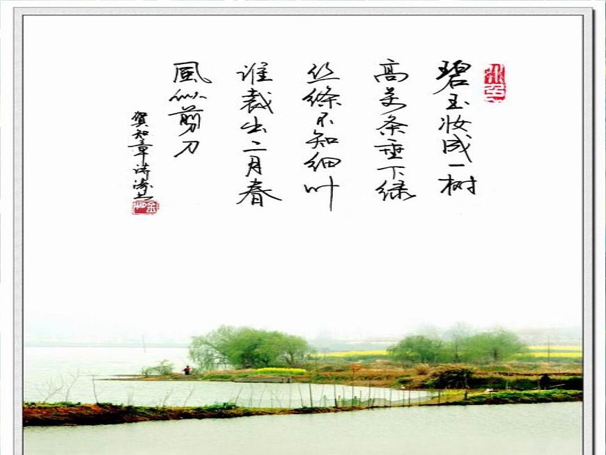 五年級下冊科學(xué)課件-1.2《探訪春天》1∣大象版 (共18張PPT)第5頁