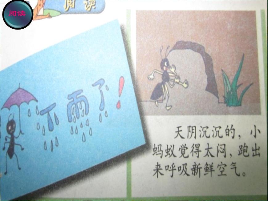 五年級下冊科學(xué)課件-2.4《天氣預(yù)報》1∣大象版(共19張PPT)第3頁