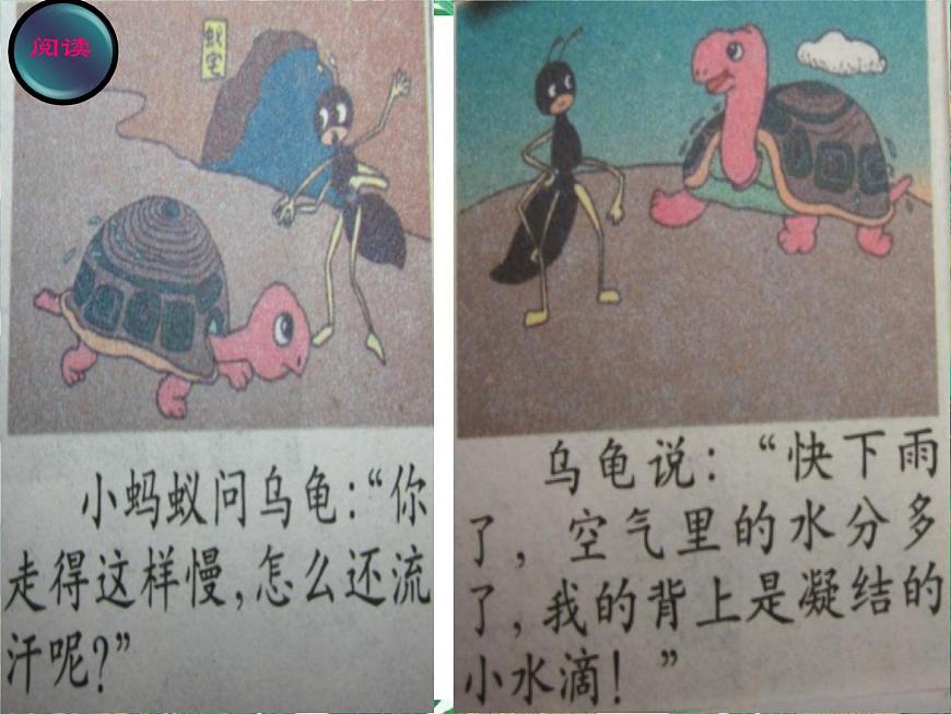 五年級下冊科學(xué)課件-2.4《天氣預(yù)報》1∣大象版(共19張PPT)第4頁