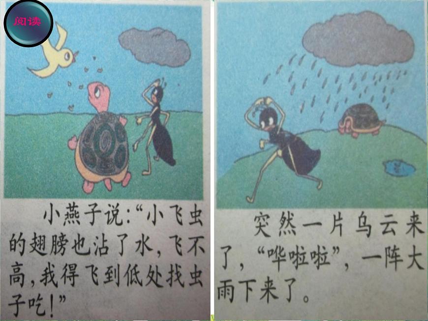 五年級下冊科學(xué)課件-2.4《天氣預(yù)報》1∣大象版(共19張PPT)第5頁
