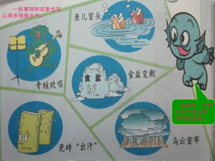 五年級下冊科學(xué)課件-2.4《天氣預(yù)報》1∣大象版(共19張PPT)第6頁