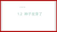 小学科学粤教粤科版三年级下册（新版）2 专题探究：种子发芽了完整版课件ppt