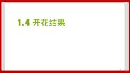 科学粤教粤科版第一单元 生物的生长4 开花结果优秀ppt课件