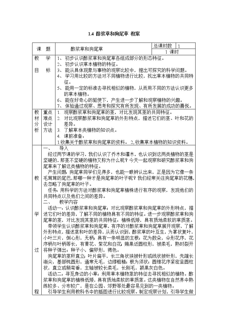 1.4 酢浆草和狗尾草 教案01
