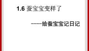 小学科学粤教粤科版三年级下册（新版）6 蚕宝宝变样了完整版课件ppt