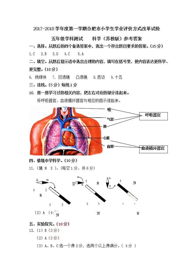 【绿色评价】发展绿色指标测试苏教版五年级科学上册第一学期试题卷+答题卷+答案(2018)01