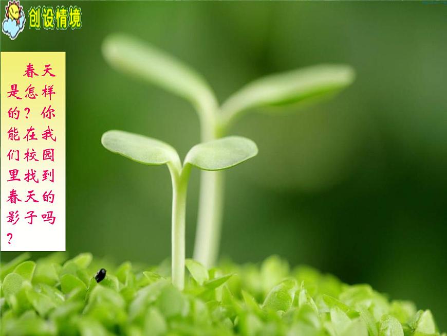 五年級(jí)下冊(cè)科學(xué)課件-1.1《春天在哪里》∣大象版 (共17張PPT)第3頁(yè)
