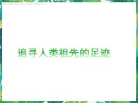 1.2《追尋人類祖先的足跡》課件+教案+練習(xí)